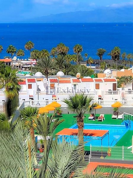 Foto 980cb7fd-3d2e-48dd-aeac-f7e8174f3d3d. Estudi amb aparcament a Playa de las Américas Adeje