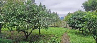 House  Ramon cabanillas