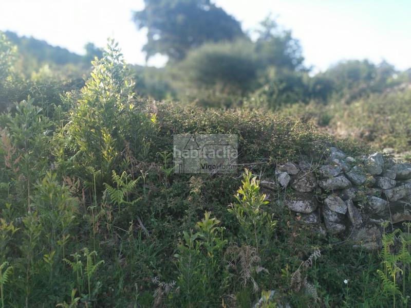 Foto 3e7a8503-bb3b-45c5-8e52-0da464caf54b. Residential plot in carballido .domaio 21a in Moaña