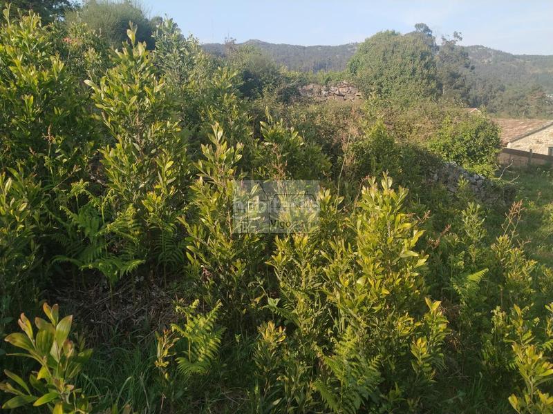 Foto 43829040-63b5-4bb2-83e7-5a39144205ba. Residential plot in carballido .domaio 21a in Moaña