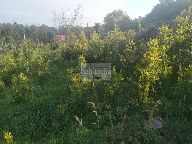 Foto 9977d852-4f2b-43c9-a742-828f0320fb23. Residential plot in carballido .domaio 21a in Moaña
