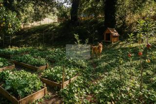 Wohngrundstück  Eido blanco lg torres