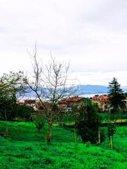 Terrain résidentiel à LG ABELENDO-S.MARTIÑO Suelo Polígono 66 BALDOMAR