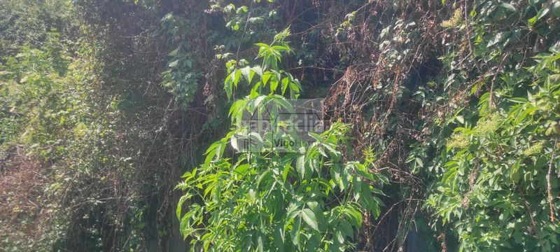 Foto 7b7a2db6-80f6-4b58-b784-c9d82ecb913b. Casa amb calefacció a Moaña