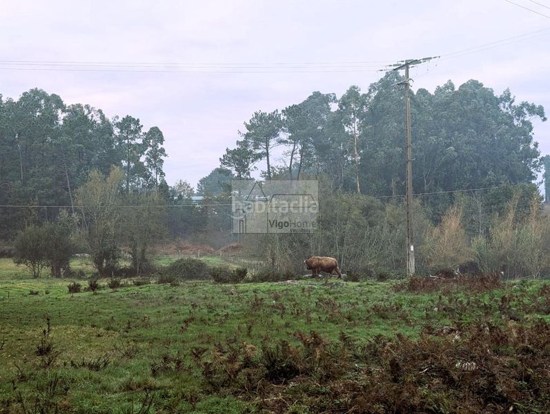 Foto 0fe2c901-9689-45ce-bd7a-104465a5420b. Finca rústica a Porriño (O)