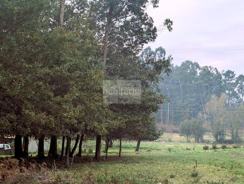 Foto f155db0a-3113-46d5-a3cc-59bc3575443d. Finca rústica a Porriño (O)