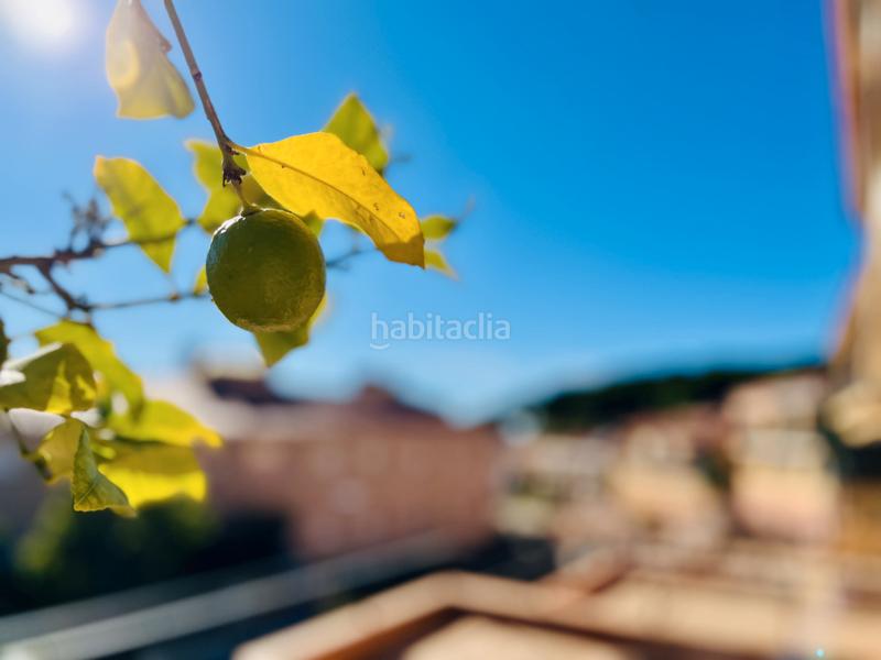 Foto 30fd2c43-78a8-4613-8d9a-468f44a25d68. Casa bifamiliare con camino riscaldamento parcheggio in Sant Pol de Mar