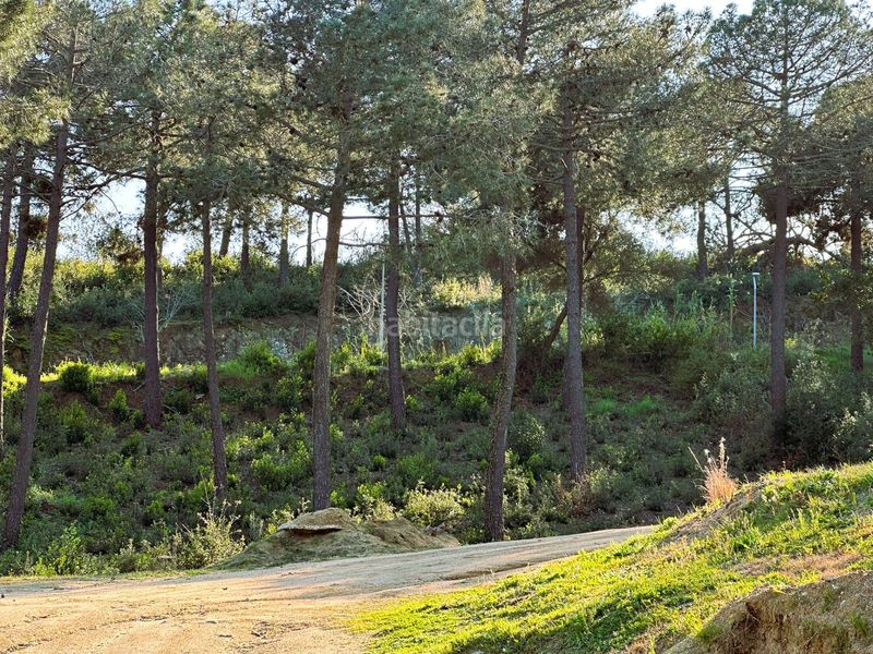 Foto 0acbf7be-0503-4de1-9e07-343ed847f3c7. Terreny residencial a Urbanitzacions Sant Pol de Mar