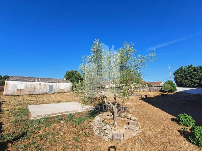 Foto 36309325-431f-4bbb-9fe4-b03e9867dd7c. Casa a ja molinera 1 a Cristóbal