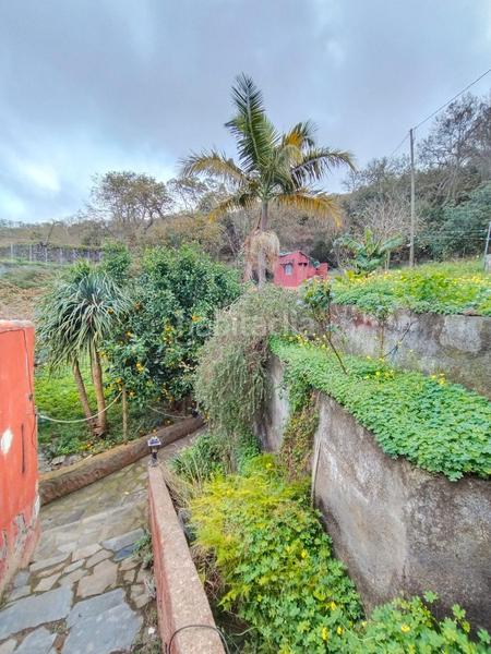 Foto 98b4c1a0-4e6a-48d8-99a8-22f9ab9252dc. Finca rústica a La Perdoma - San Antonio - Benijos Orotava (La)