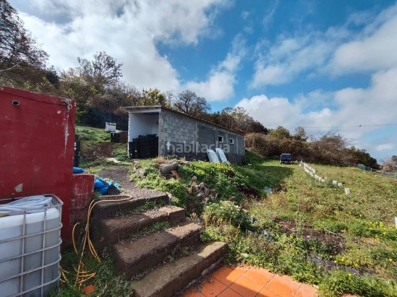Foto dd612974-7d90-46a8-ab43-981b596eac30. Finca rústica a La Perdoma - San Antonio - Benijos Orotava (La)