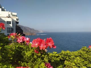 Apartament en Longuera - Toscal