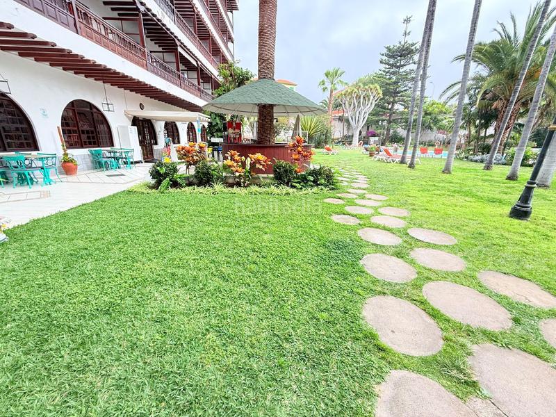 Foto 41a39824-3d1e-4598-9947-f100506b749c. Studio avec piscine dans Zona Botánico Puerto de la Cruz