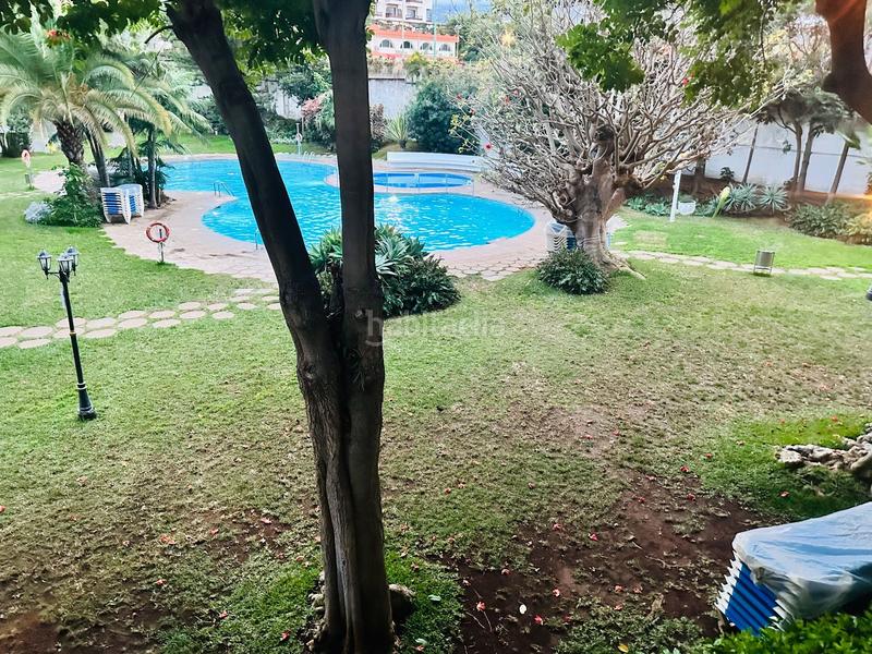 Foto d82469f4-4262-47ca-be84-9f2f57df2da2. Studio avec piscine dans Zona Botánico Puerto de la Cruz