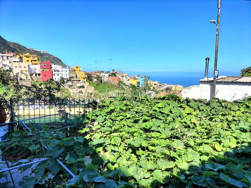 Foto 3ce33084-c6c4-4b4c-a469-7f1d3cb1d7f9. Casa a Los Realejos pueblo Realejos (Los)