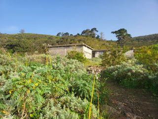 Casale  Tierra del trigo. Se alquila maravillosa finca en el tanque.