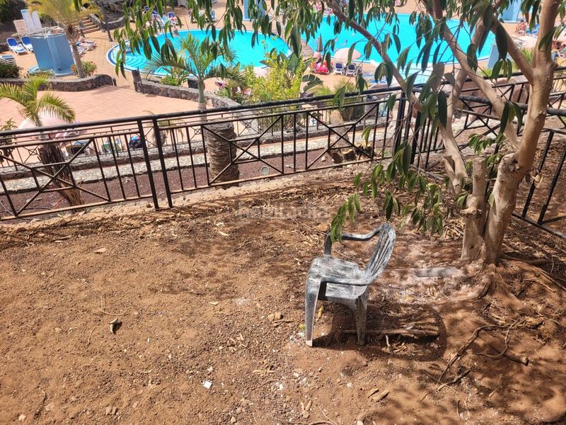 Foto 149a0c35-c216-4cbe-a520-7c25eba831cd. Pis amb piscina a Los Cristianos Arona