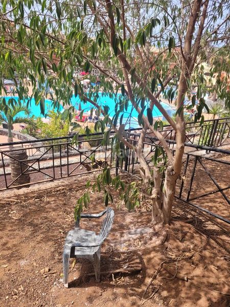 Foto 5130d687-cf8f-44ae-a8cf-84ff5f8686bb. Pis amb piscina a Los Cristianos Arona