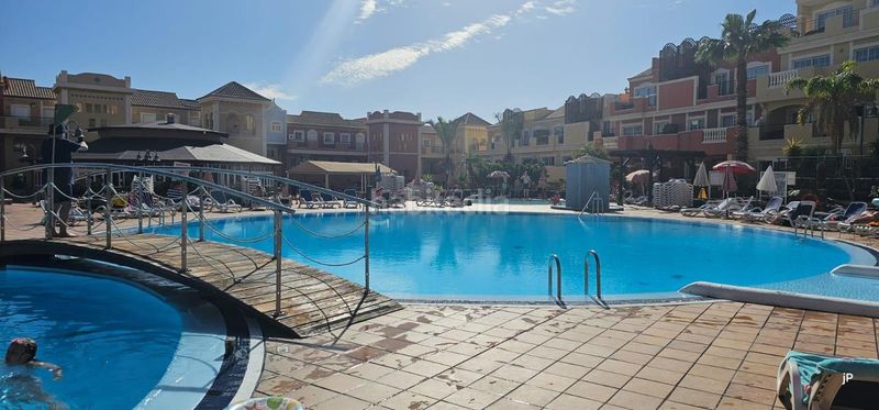 Foto afe68ce9-ba7c-43e0-8689-09d7f0c98911. Pis amb piscina a Los Cristianos Arona