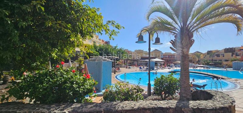 Foto e1bce568-2320-48c4-99b5-ee9c56ddfcb3. Pis amb piscina a Los Cristianos Arona
