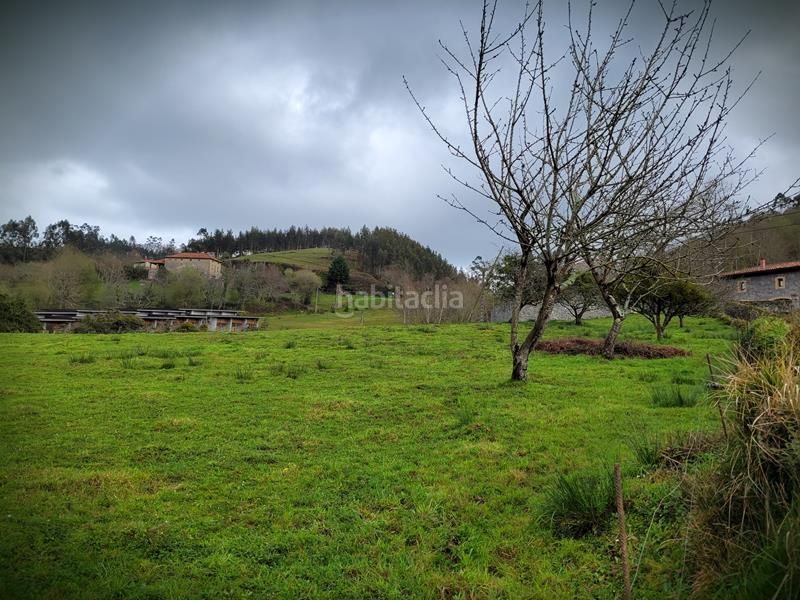 Foto 07dd1dba-5095-4cce-89d3-7a382dd933c3. Terreny residencial a Posada-Barro Llanes