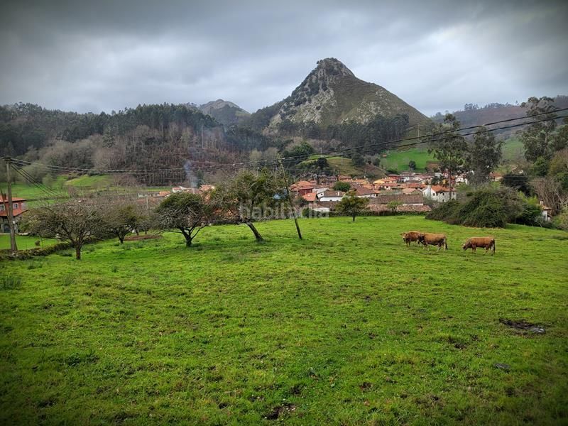 Foto 148747a0-65c5-454f-ad0b-f90ae55bacdf. Terreny residencial a Posada-Barro Llanes