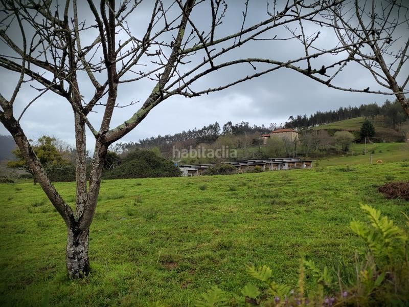 Foto dd485198-b79f-4eff-a623-26c2897509fb. Terreny residencial a Posada-Barro Llanes