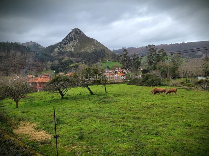 Foto eb485f07-5992-47c2-923a-7790a772af21. Terreny residencial a Posada-Barro Llanes