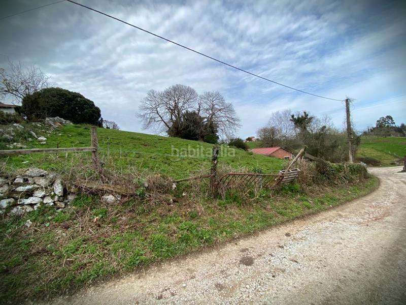 Foto 020ad351-3c9b-4685-8a76-78be9d6497b2. Nave industrial  en Celorio-Poó-Parres Llanes