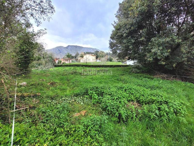 Foto 6f4b1121-3c94-46e7-a879-492ceadbfe88. Terreno residencial parcela edificable en balmori en Llanes