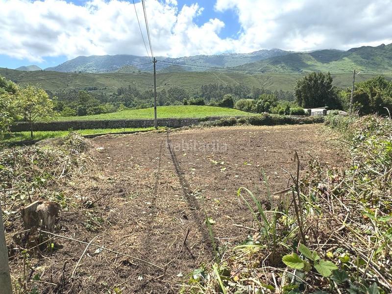 Foto afbae272-9dff-4a71-b111-e6b3b2ba8994. Terreny residencial a Cué-San Roque-Andrín Llanes