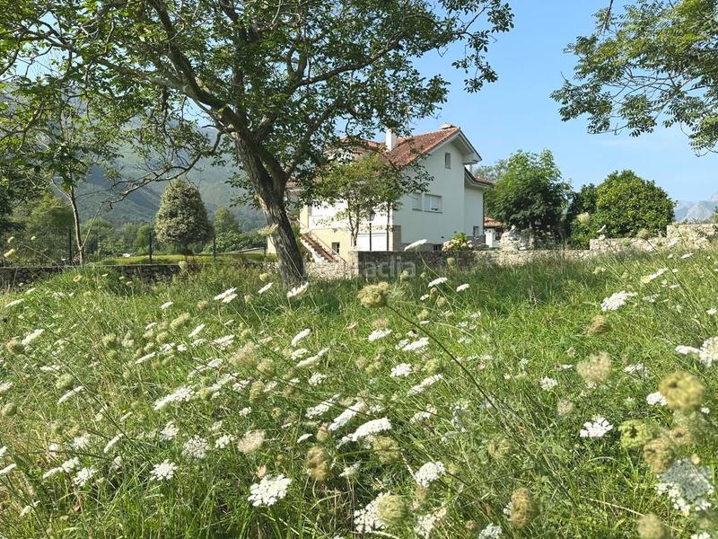 Foto 4fb2f336-481b-4b66-ad70-0e1897bb3148. Terreny residencial a Llanes pueblo Llanes