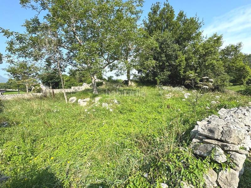 Foto 6c8159bd-0d44-4c5f-890f-c46a9d72d0e9. Terreny residencial a Llanes pueblo Llanes