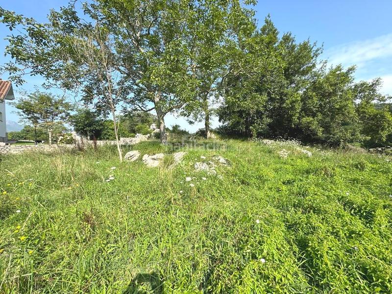 Foto edd95cc7-e672-40d6-a02f-6b29939ec01c. Terreny residencial a Llanes pueblo Llanes