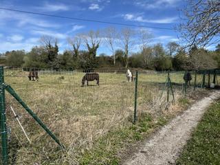 Terreno residencial en Pría-Nueva-Hontoria-Naves. Parcelas en naves