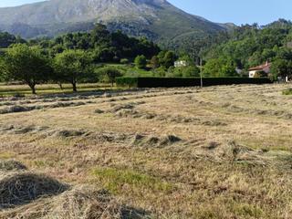 Terreno residenziale in Vibaña-Ardisana-Caldueño. Parcela edificable en riocaliente