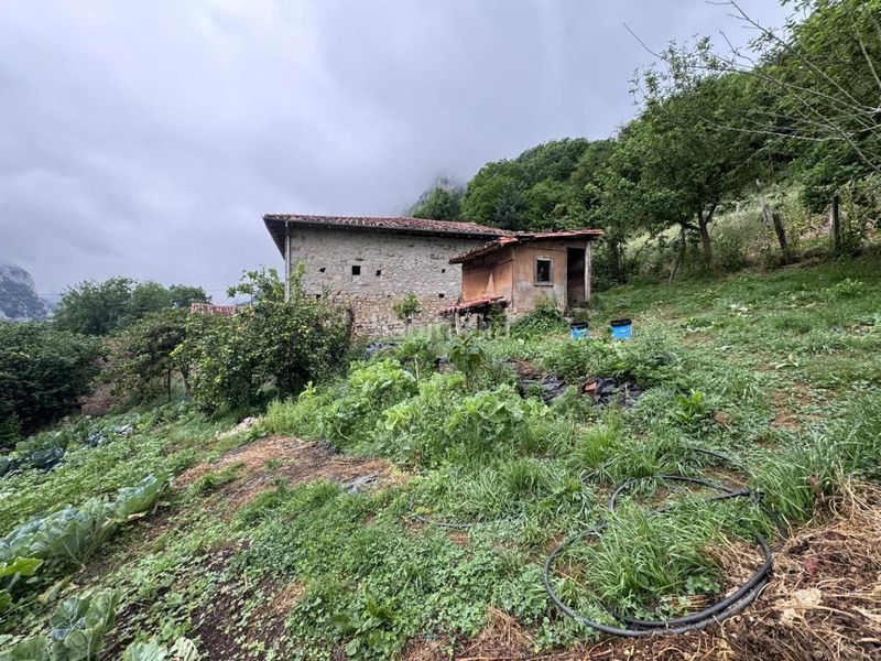 Foto 54905102-7ce8-4706-9ab2-4f44ce4ad8c2. Casa a Peñamellera Alta