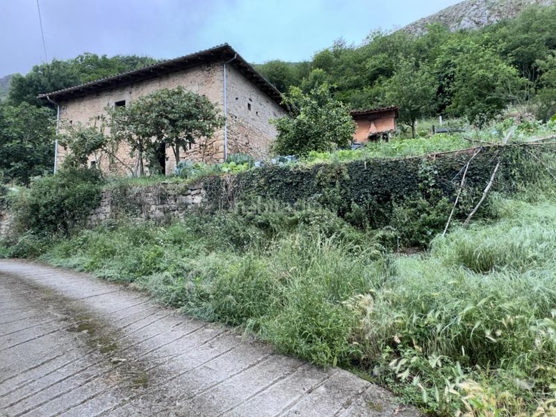 Foto 6e644a46-9f69-4c86-a0c7-81b93fd1ba65. Casa a Peñamellera Alta
