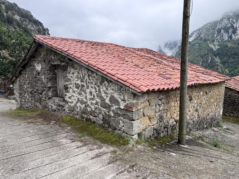 Foto 6fb067e7-4e2f-4851-9809-842df683cb8f. Casa a Peñamellera Alta