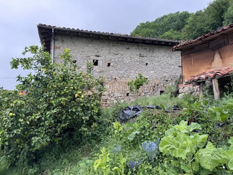Foto 70571460-4939-4e53-a5e2-1c891a8f609d. Casa a Peñamellera Alta