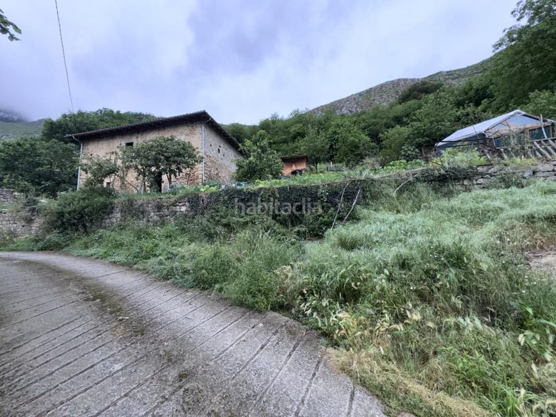 Foto b2859140-1b26-4e16-9731-6483d19d3dff. Casa a Peñamellera Alta