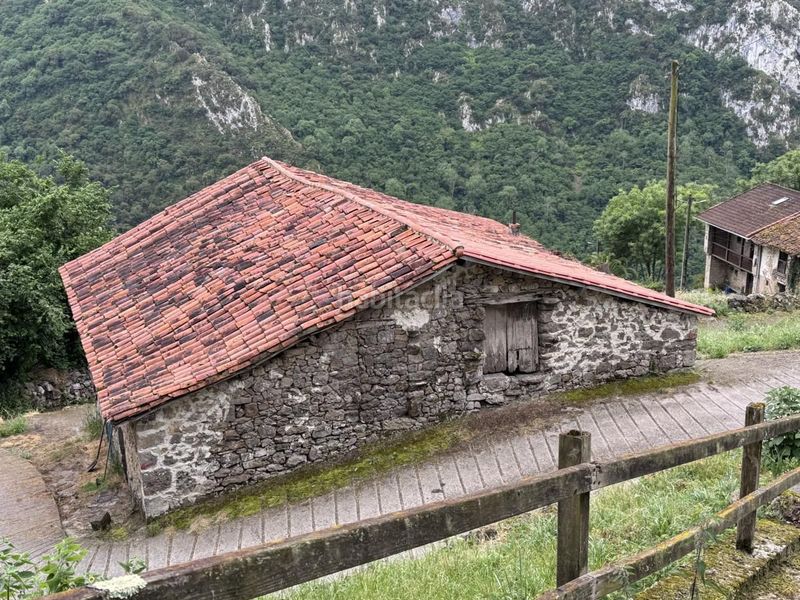 Foto b917b4d0-7d88-4c0d-aeb8-79c9a3116fee. Casa a Peñamellera Alta