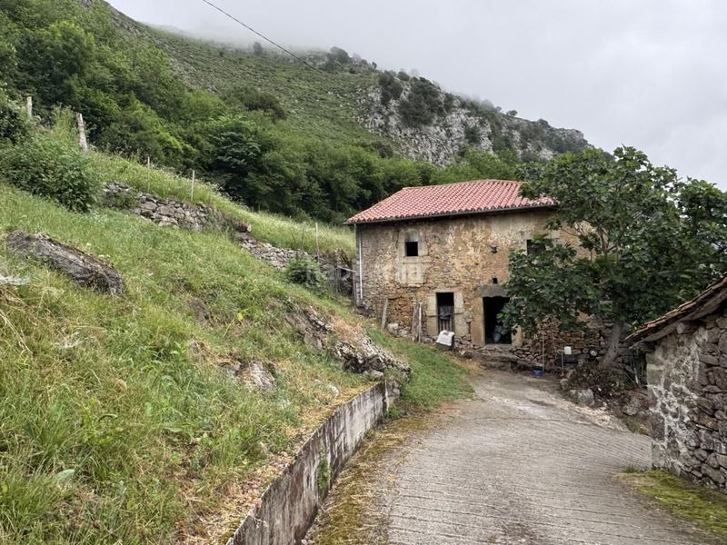Foto c242de2e-04e6-4ab0-af2e-ed53f87d776d. Casa a Peñamellera Alta