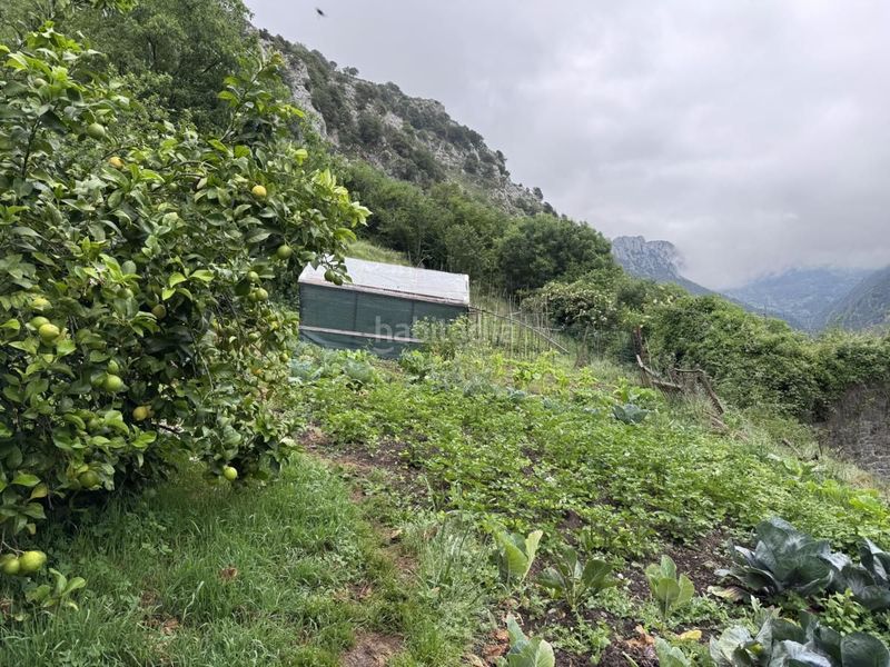 Foto e7c41df9-e86a-4a5a-aa53-c83b94b180b5. Casa a Peñamellera Alta