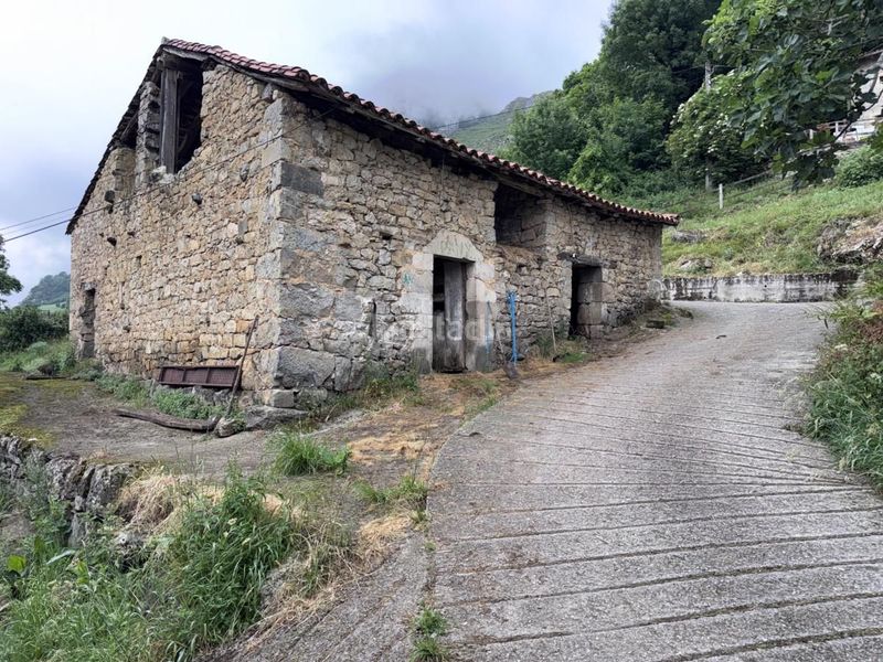 Foto f5a209e9-3519-417f-97c5-84d690431551. Casa a Peñamellera Alta