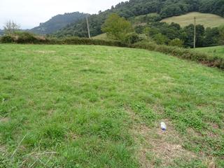 Residential Plot in Parroquias Norte. Finca edficable