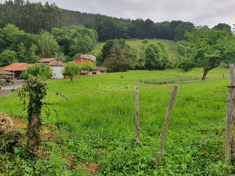 Foto 9906130a-1f00-478d-8e36-e06134979589. Terreno residencial parcela edificable en pintueles en Piloña