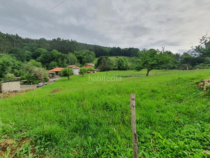 Foto a22ecd31-1090-4fb2-9343-9bbb25d72987. Terreno residencial parcela edificable en pintueles en Piloña