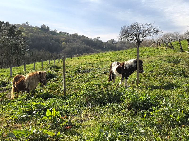 Foto 7b6ff4d0-d9fe-4fe9-b877-341a9937f2c9. Casa aparellada a el robledal - traspando 4 a Carbayin-Lieres-Valdesoto Siero