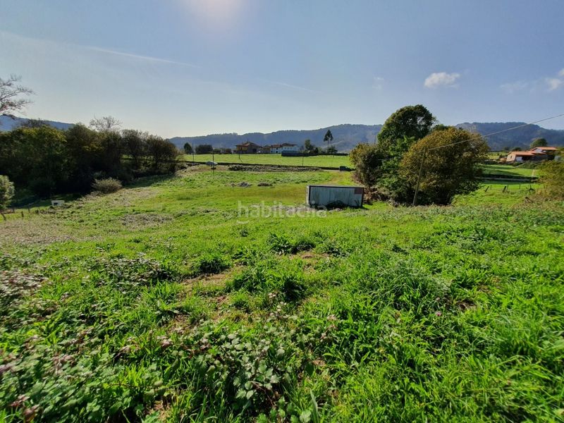 Foto cf2d1789-8f26-4909-99b3-d33112dd4c74. Finca rústica a Nava